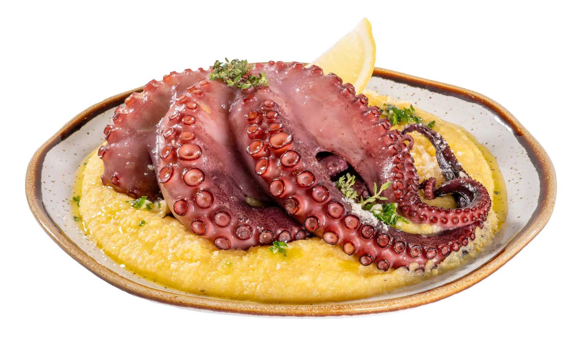 DSC00002_MEDIO PULPO 1_EDIT_ISOLADO